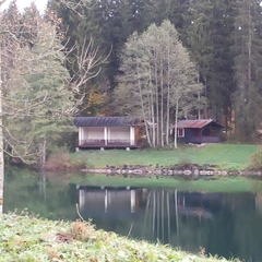 Hundetreffen 2014 im Allgäu (3)